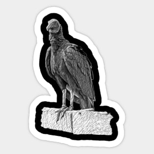 eagle Sticker